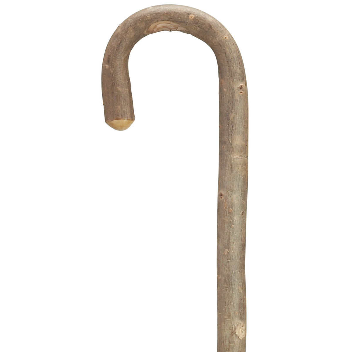 White Ash Crook Cane - Tophatter Daily Deals