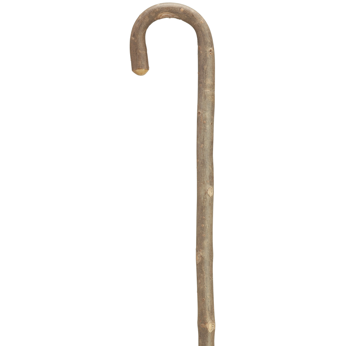 White Ash Crook Cane - Tophatter Daily Deals