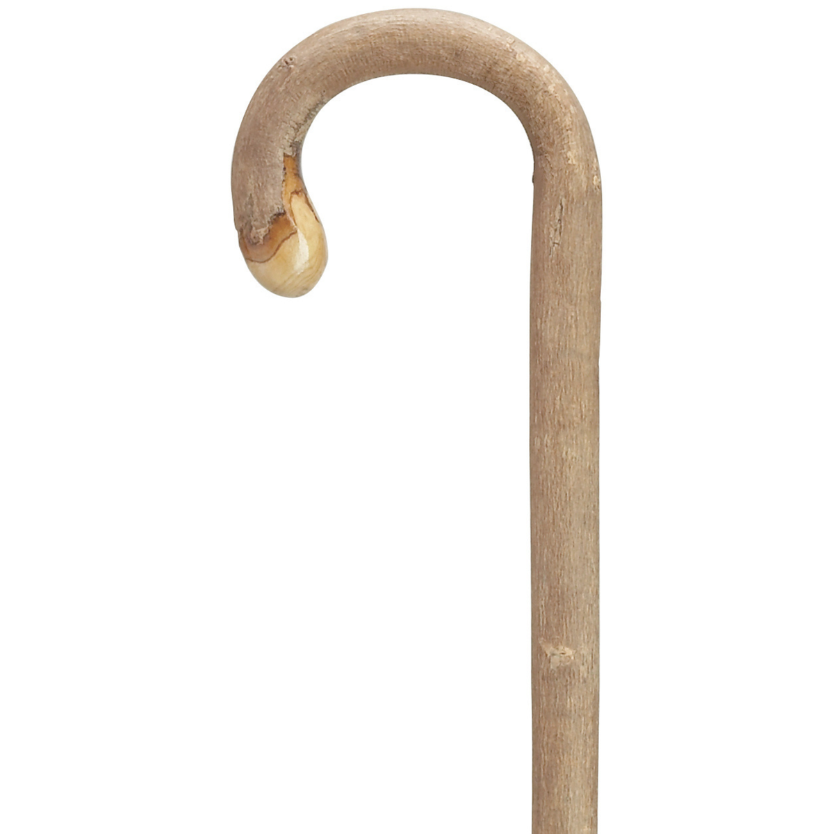 White Ash-Bulb Nose Tourist Cane - Tophatter Daily Deals