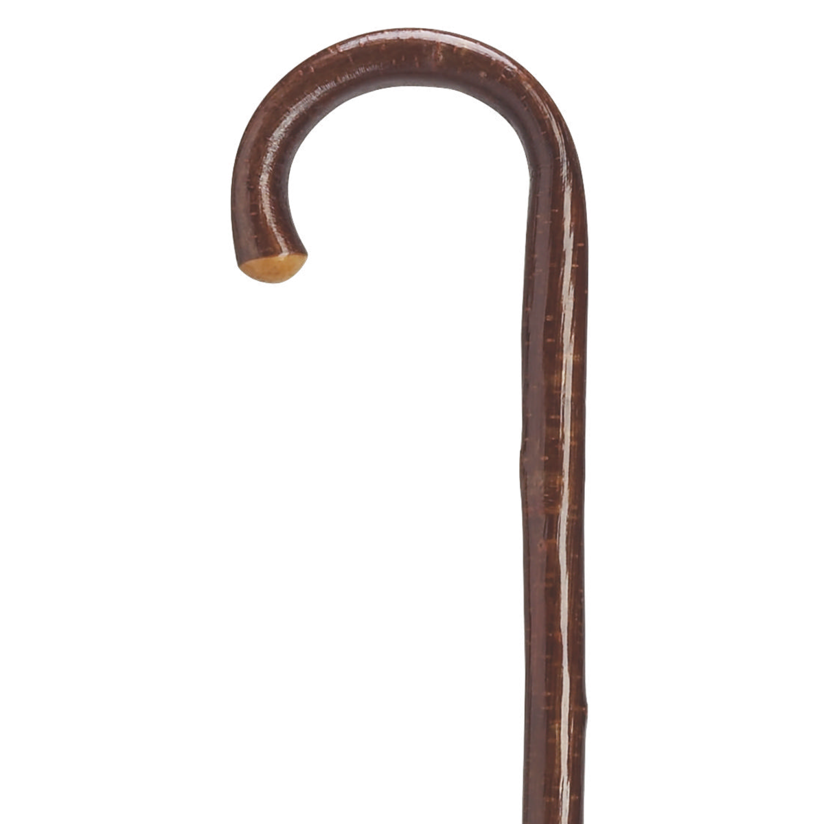 Tourist Hazelwood Cane - Tophatter Daily Deals