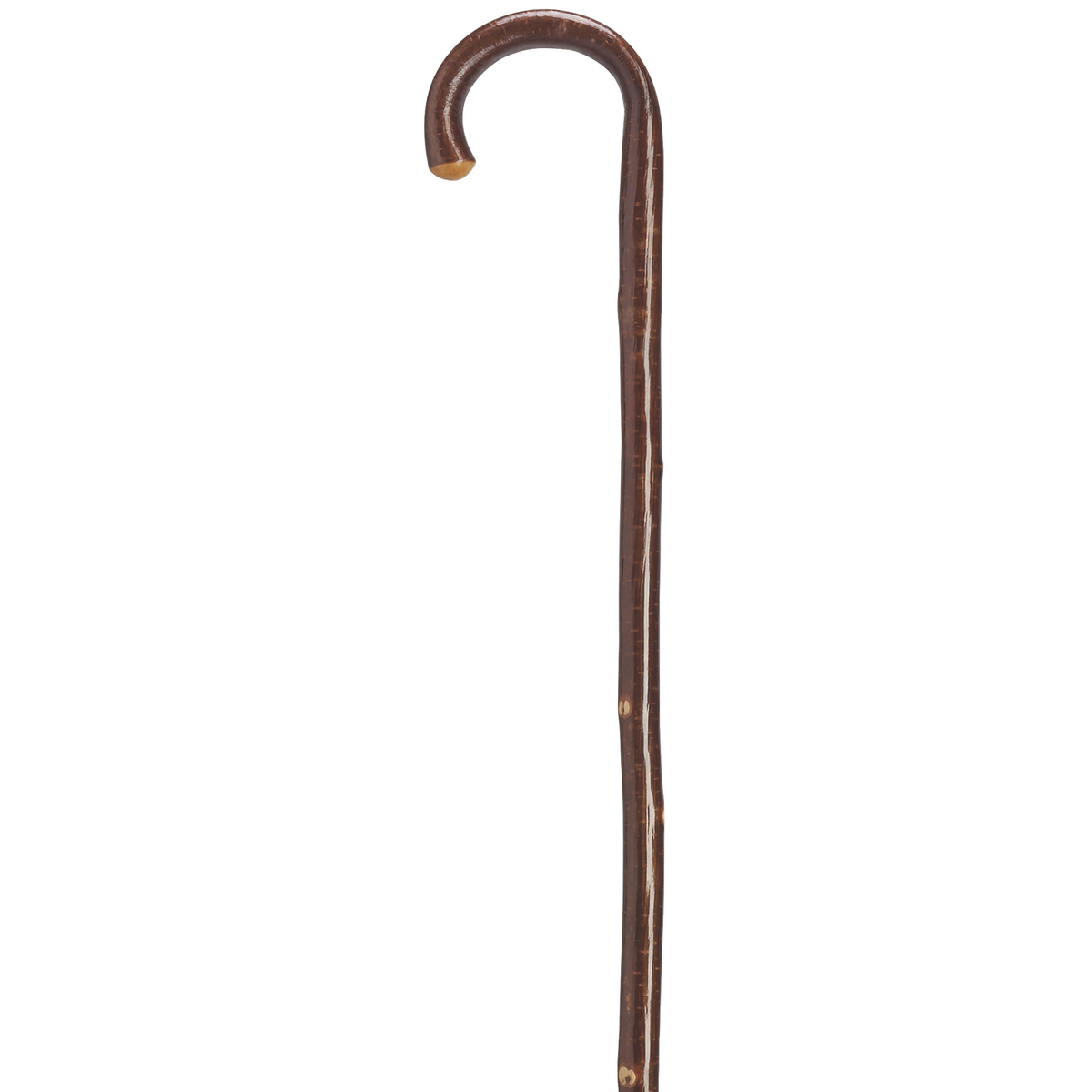 Tourist Hazelwood Cane - Tophatter Daily Deals