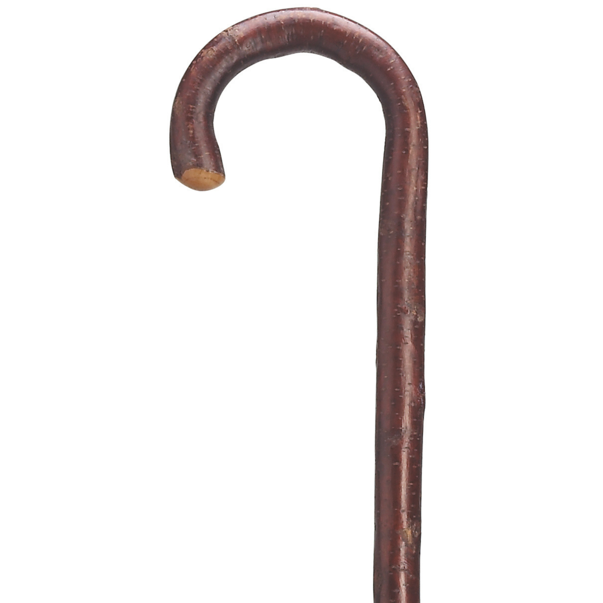 Men's Cherry Wood Tourist Cane - Tophatter Daily Deals