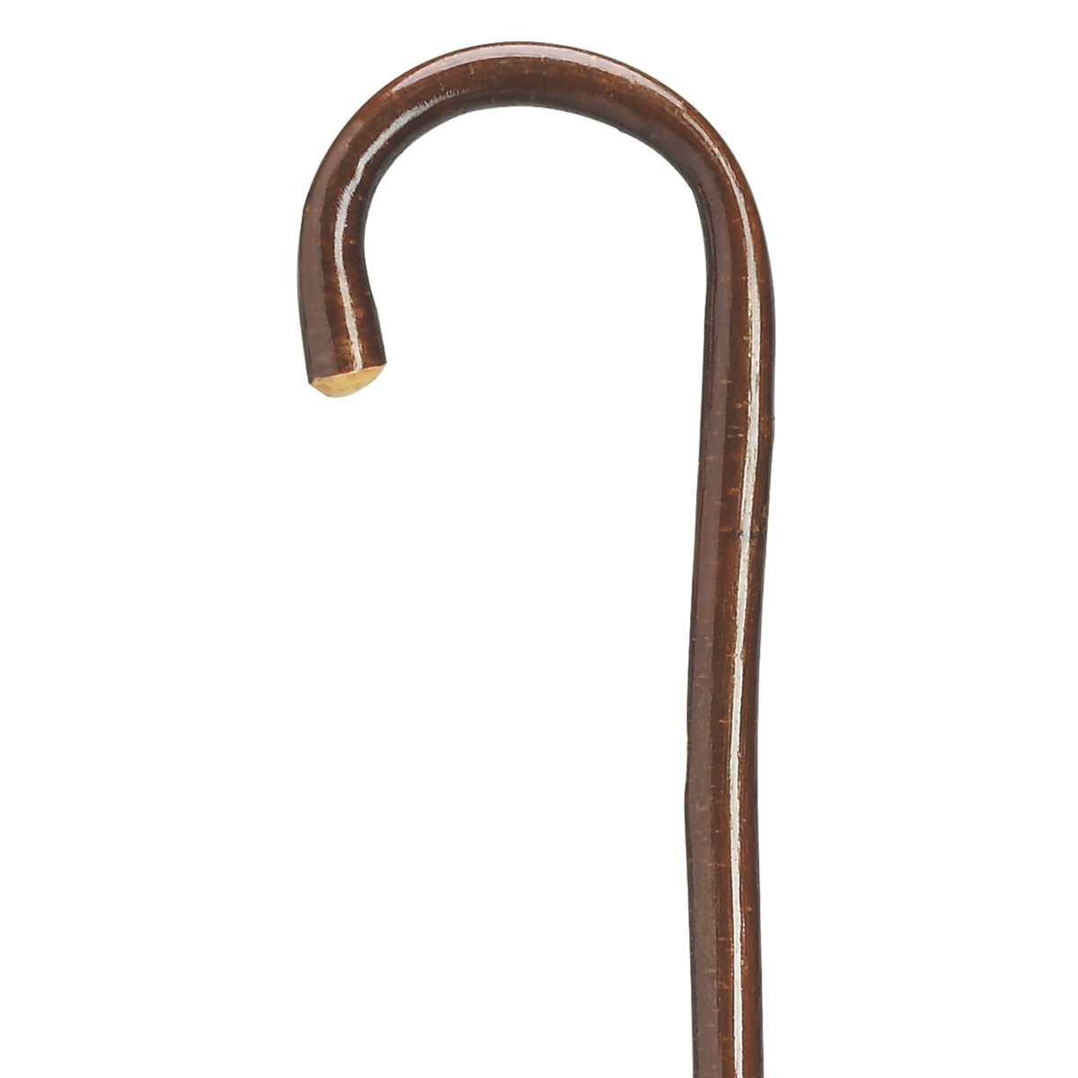 Ladies Hazelwood Crook Cane - Tophatter Daily Deals