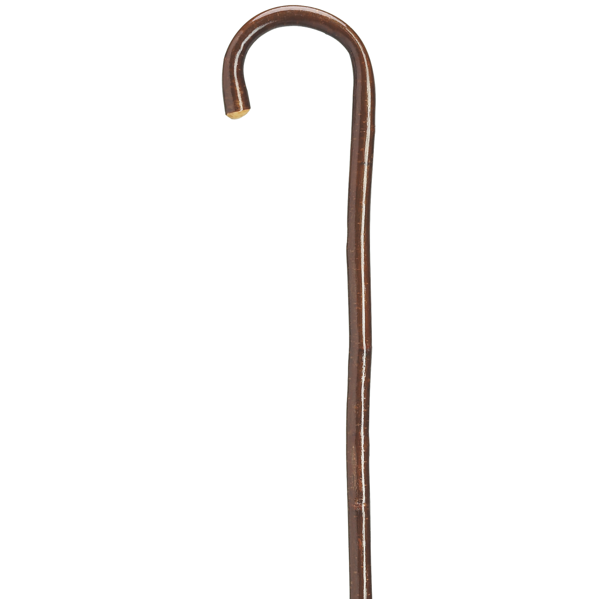 Ladies Hazelwood Crook Cane - Tophatter Daily Deals