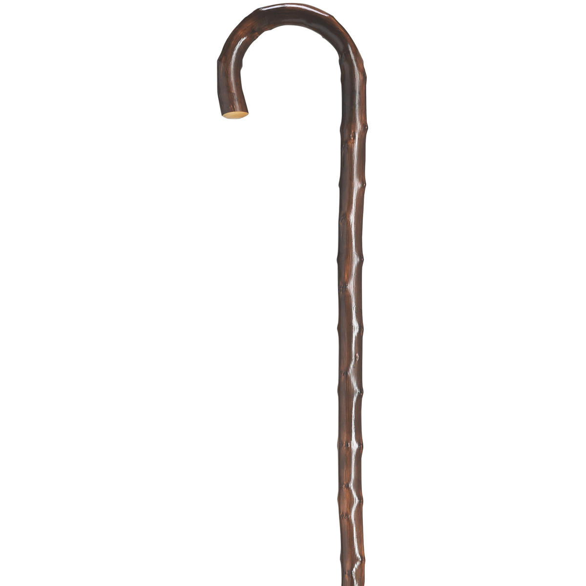 Ladies Congo Tourist Cane - Tophatter Daily Deals