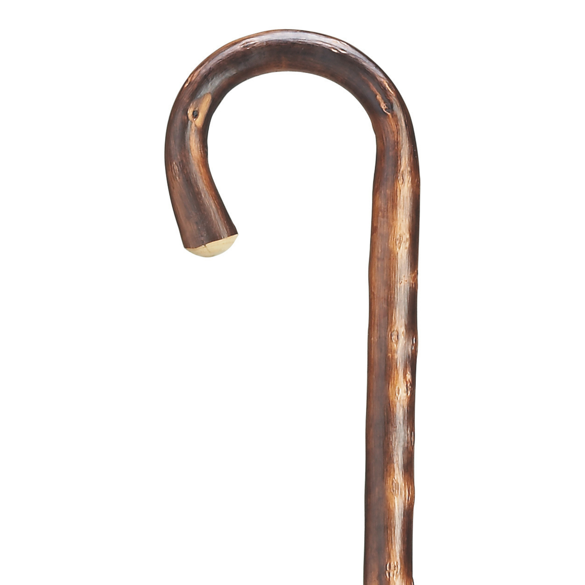 Extra Long Tourist Chestnut Cane - Tophatter Daily Deals