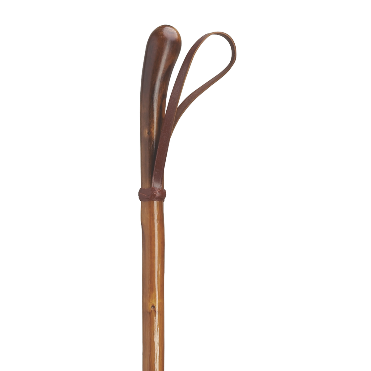 Knotted English Chestnut Walking Stick with Leather Loop - Tophatter Daily Deals