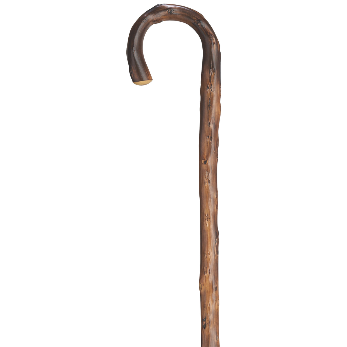 Men's German Chestnut Cane, Crook Handle, 36, Spike Ferrule - Tophatter Daily Deals