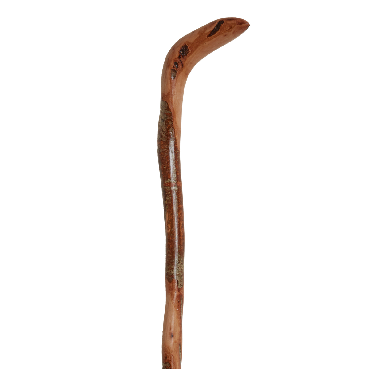 Natural Wild Wood Root Cane - Handcrafted, Unique, 36 Walking Stick - Tophatter Daily Deals