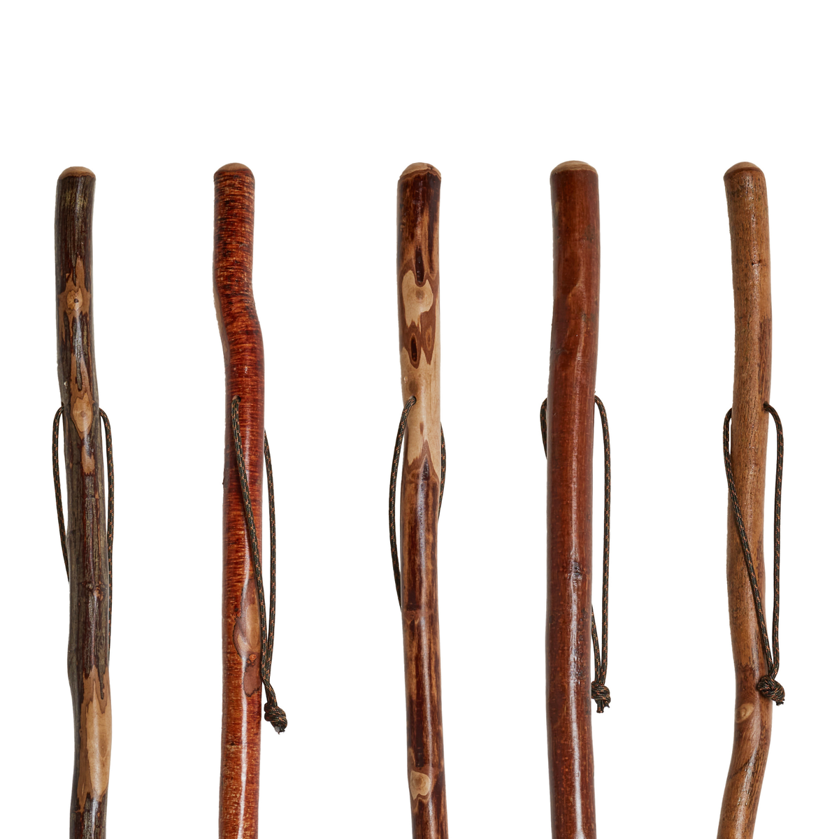 Cub Adventure Hiking Stick for Kids - Handcrafted, Durable, Safe - Tophatter Daily Deals