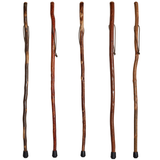 Cub Adventure Hiking Stick for Kids - Handcrafted, Durable, Safe - Tophatter Daily Deals