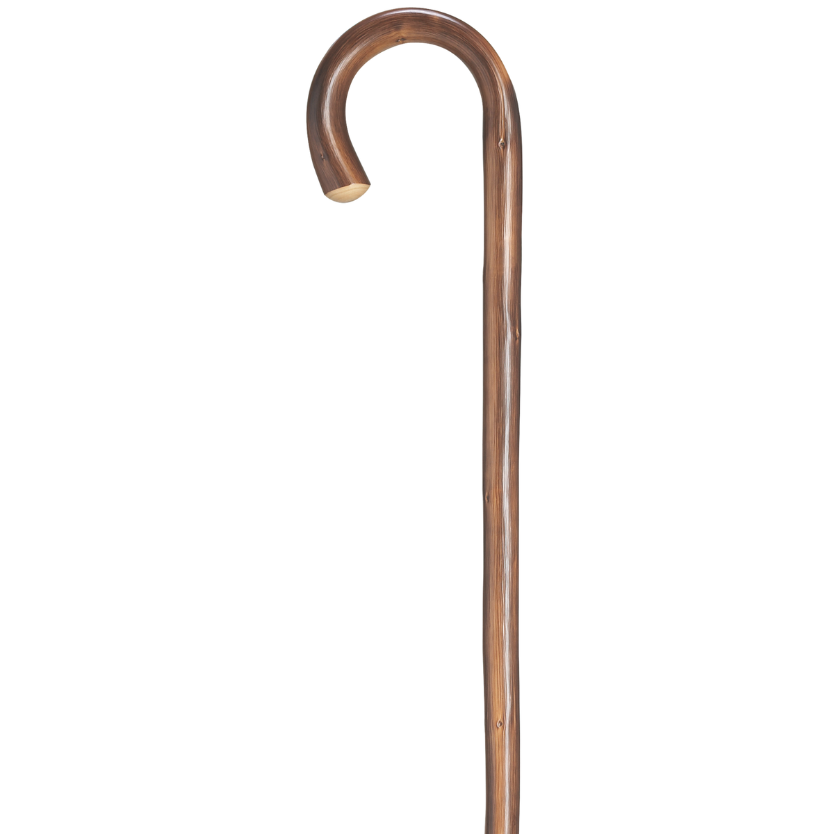 Ladies English Chestnut Tourist Cane - Tophatter Daily Deals