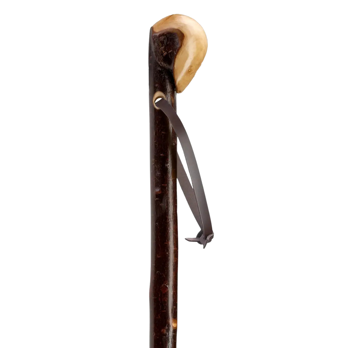 Natural Irish Blackthorn Walking Stick - Tophatter Daily Deals