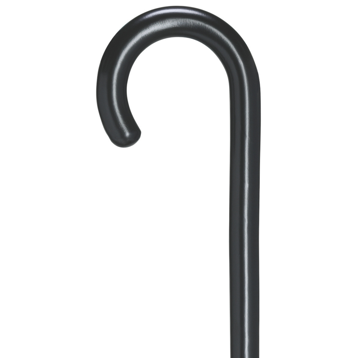 Fashion Color Tourist Cane-Black - Tophatter Daily Deals