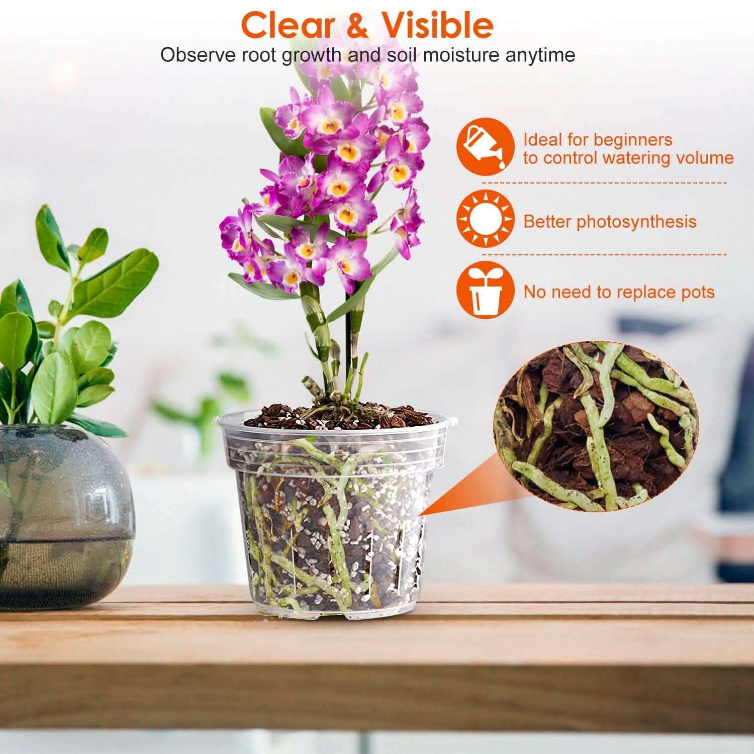 9-Piece: Orchid Pots Clear Reusable Plastic Flower Plant Nursery Planter Garden & Patio - Tophatter Daily Deals