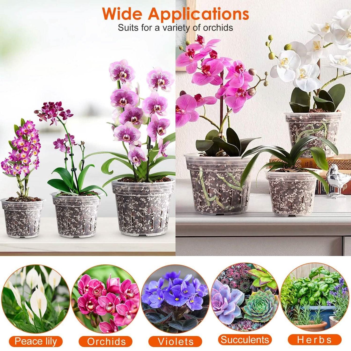 9-Piece: Orchid Pots Clear Reusable Plastic Flower Plant Nursery Planter Garden & Patio - Tophatter Daily Deals