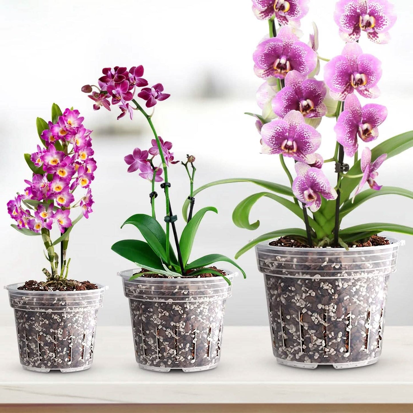 9-Piece: Orchid Pots Clear Reusable Plastic Flower Plant Nursery Planter Garden & Patio - Tophatter Daily Deals