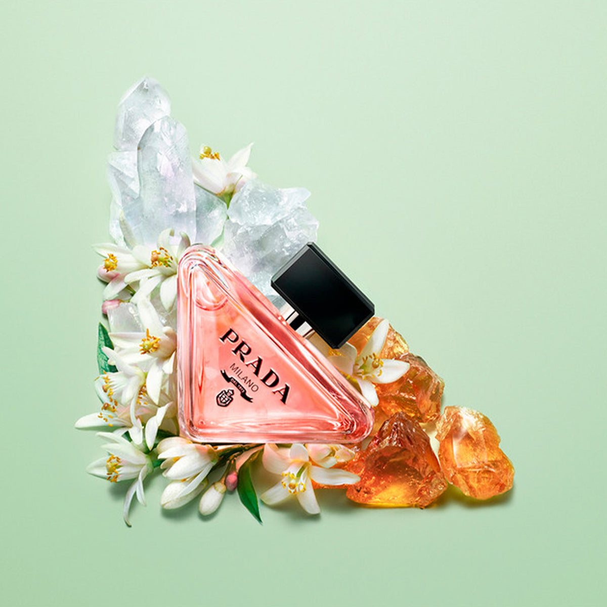 Prada Paradoxe Eau De Parfum 50ml Spray - Tophatter Daily Deals