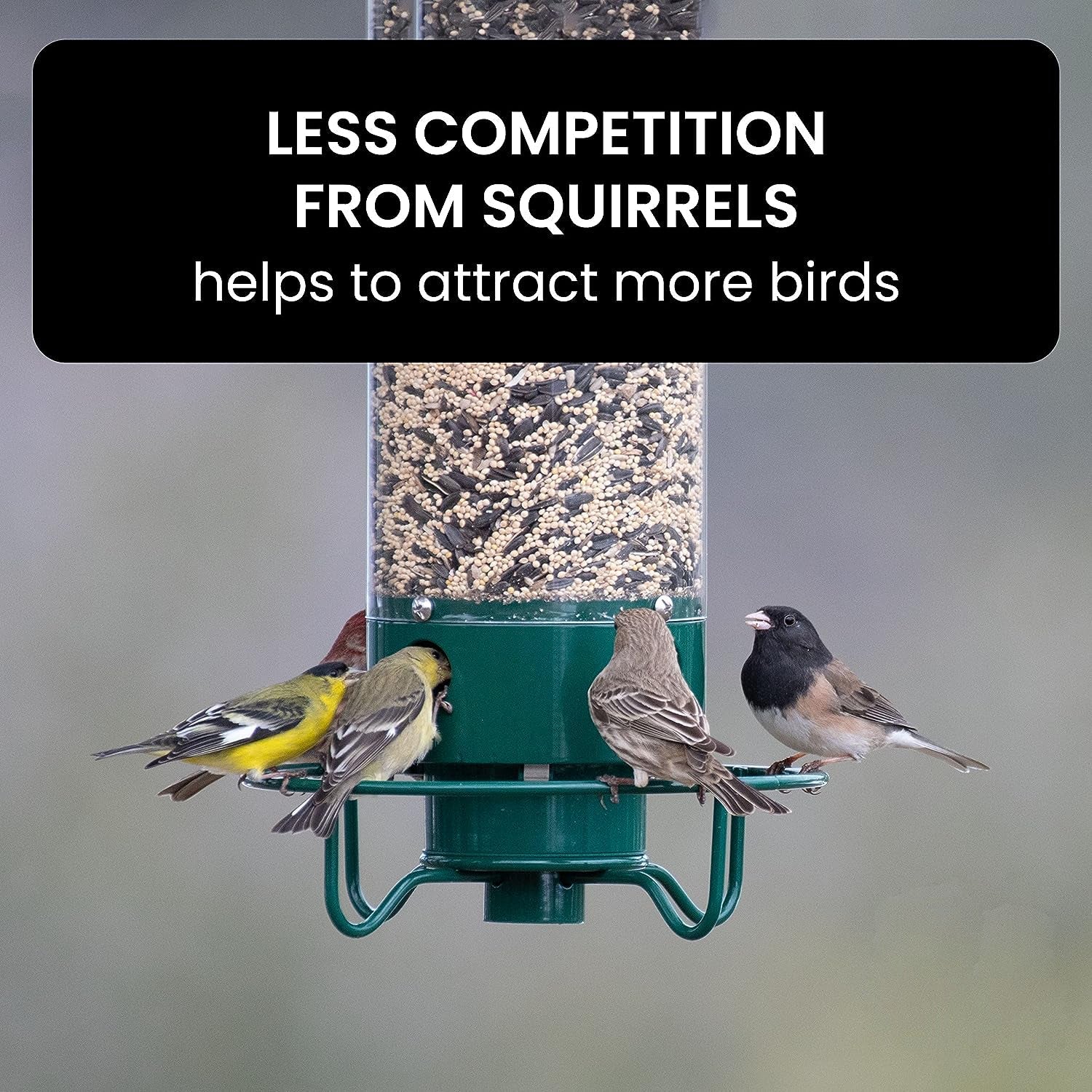 Squirrel Proof Bird Feeder Heavy Duty Spinning Perch - Tophatter Daily Deals