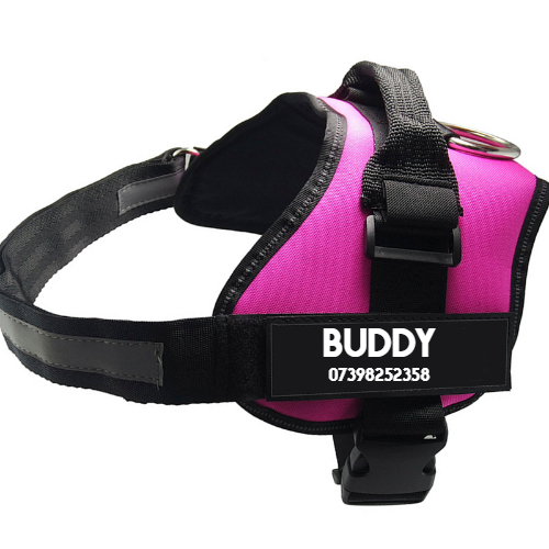 BUDDY XS Green 7 - Tophatter Daily Deals