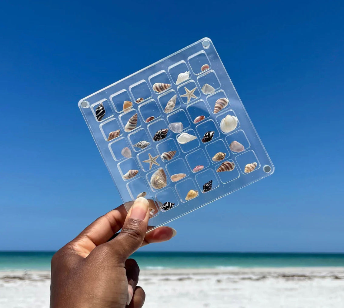 Seashell Display Case - Tophatter Daily Deals