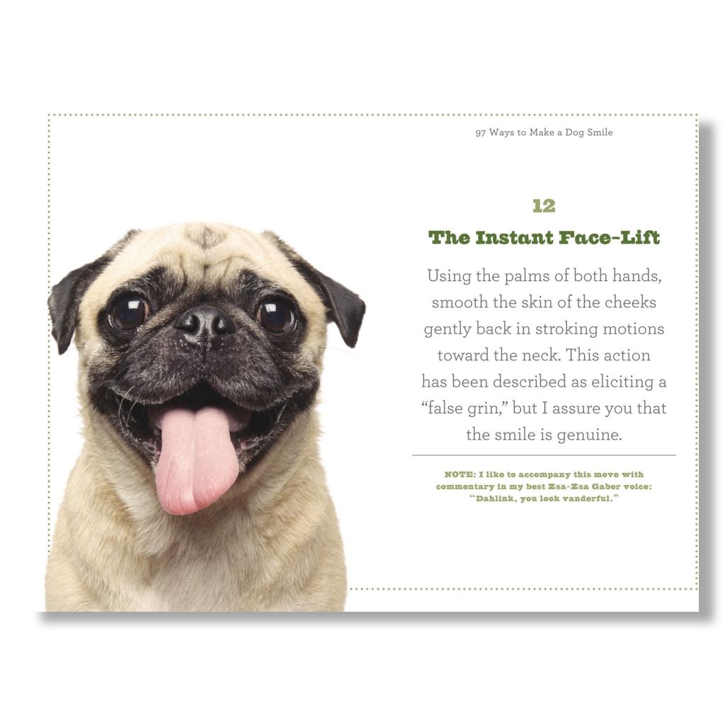 97 Ways to Make Your Dog Smile Books - Tophatter Daily Deals
