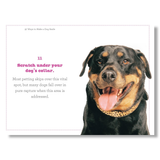 97 Ways to Make Your Dog Smile Books - Tophatter Daily Deals