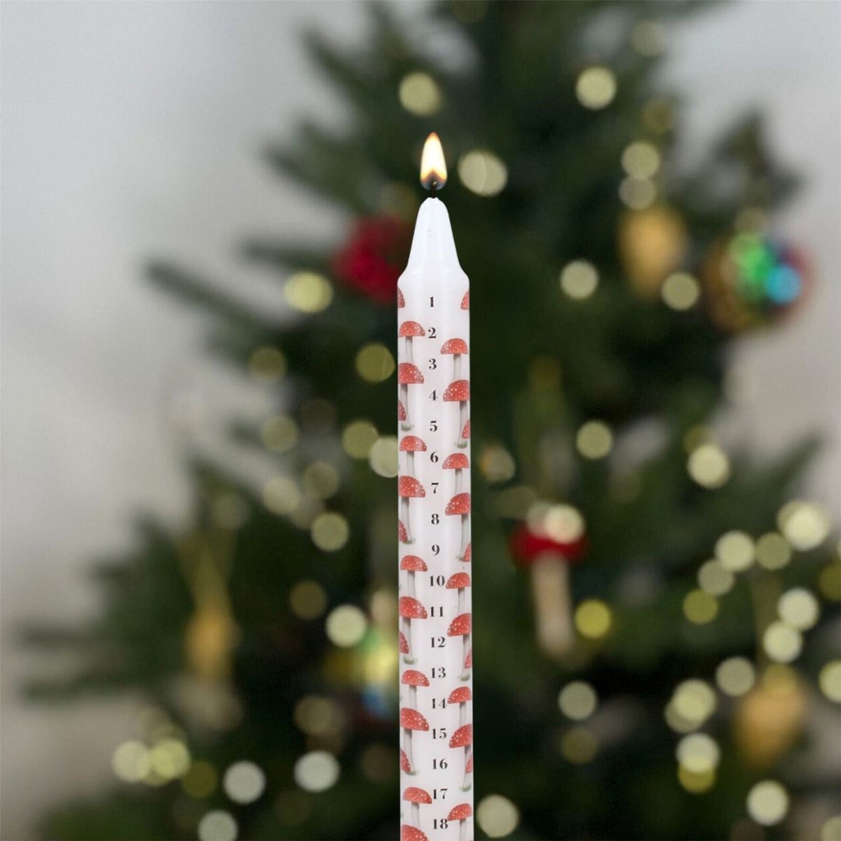 Toadstool Christmas Advent Candle | Mushroom Advent Christmas Candle - 23cm Advent Candle - Tophatter Daily Deals
