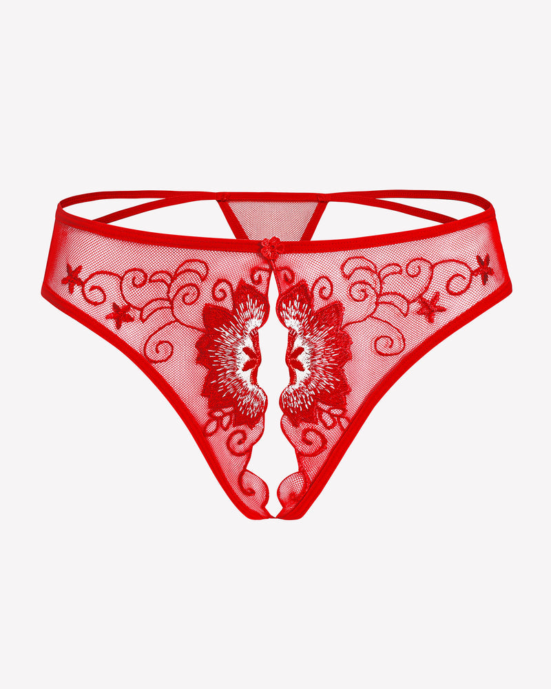 Floral Briefs Embroidered Thongs Panties Lingeries-panties - Tophatter Daily Deals