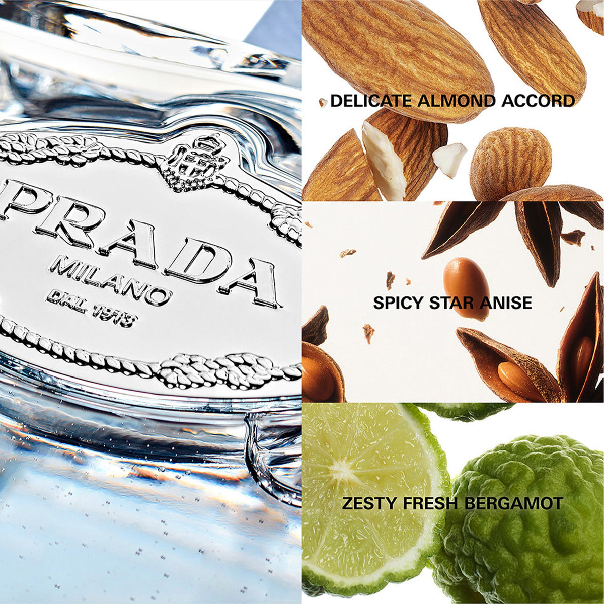 Prada Les Infusions d’Amande Eau De Parfum 100ml Spray - Tophatter Daily Deals