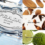 Prada Les Infusions d’Amande Eau De Parfum 100ml Spray - Tophatter Daily Deals