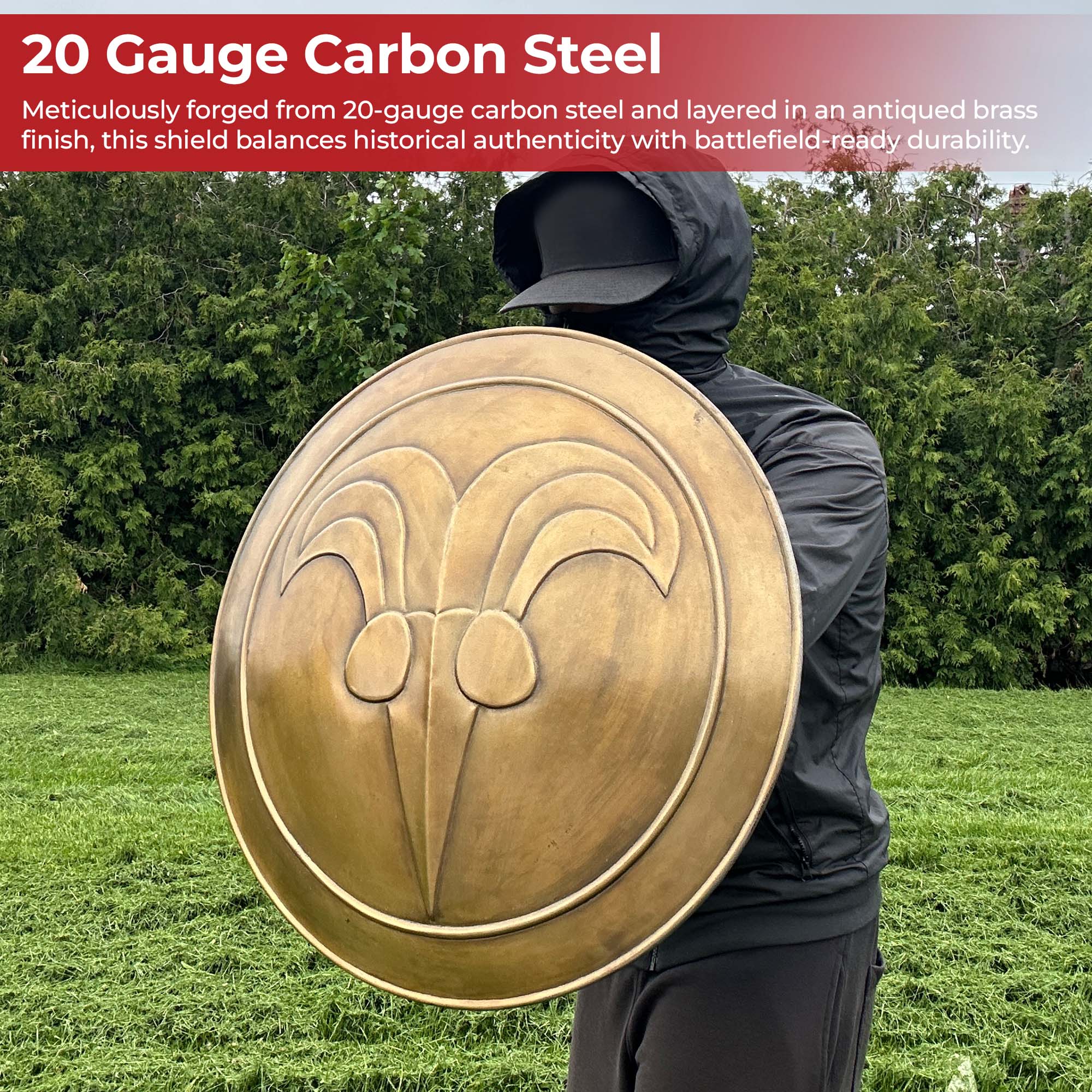 Antiqued Greek Cimmerian Barbarian Ram's Head Battle Shield Shield - Tophatter Daily Deals