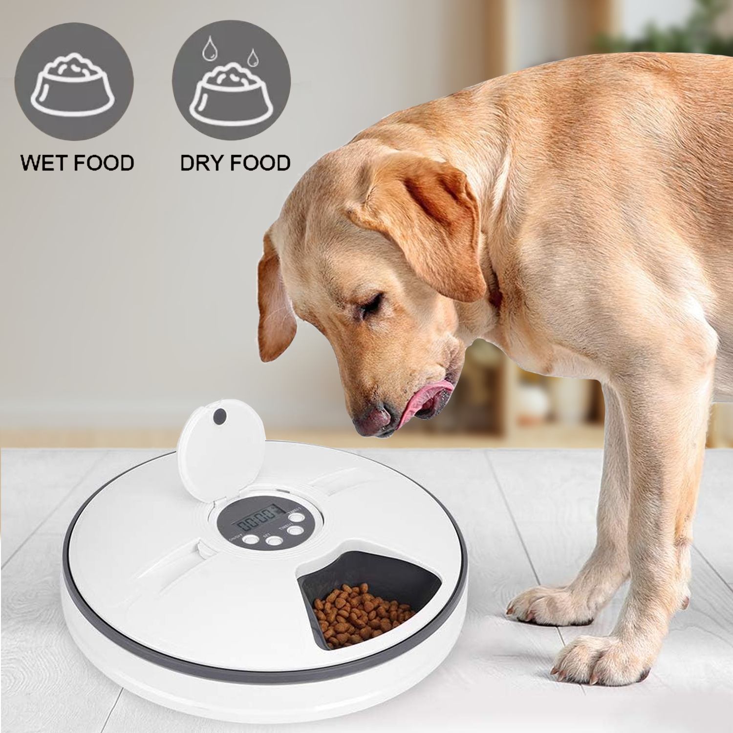 Timed Pet Feeder – Automatic & Scheduled Meal Dispenser for Healthy Pet Feeding Pet Products - Tophatter Daily Deals