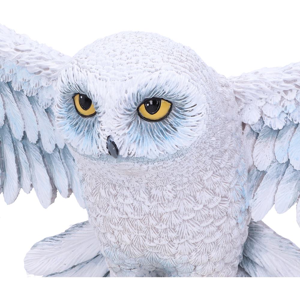 Harry Potter – Hedwig Owl Wall Plaque Wall Plaque - Tophatter Daily Deals