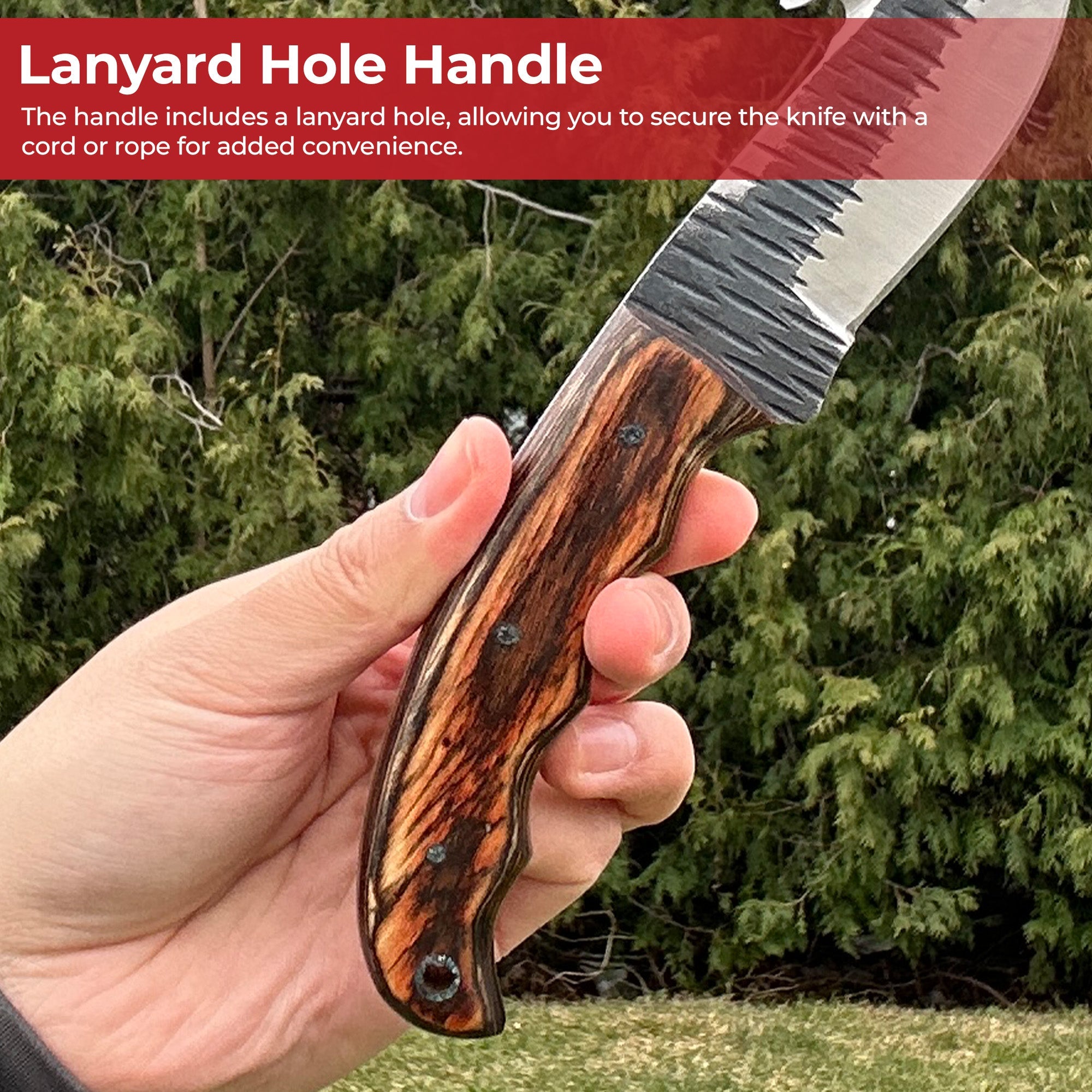Barracuda Full Tang Gut Hook Outdoor Hunting Knife Knives - Tophatter Daily Deals
