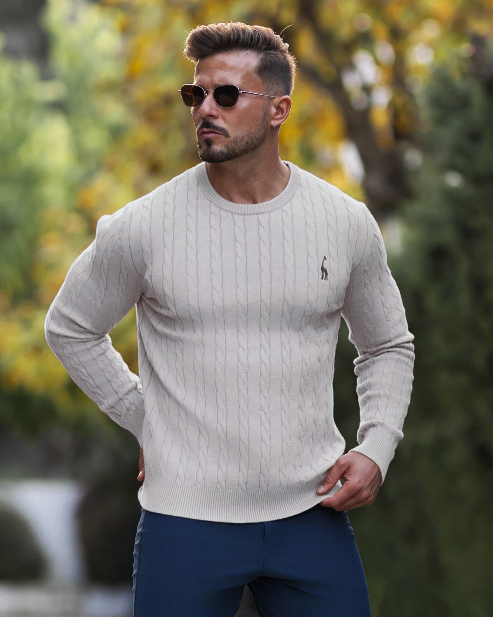 Soft Timeless Men's Cable Knit Sweater - Crewneck, Cotton Light gray - Tophatter Daily Deals