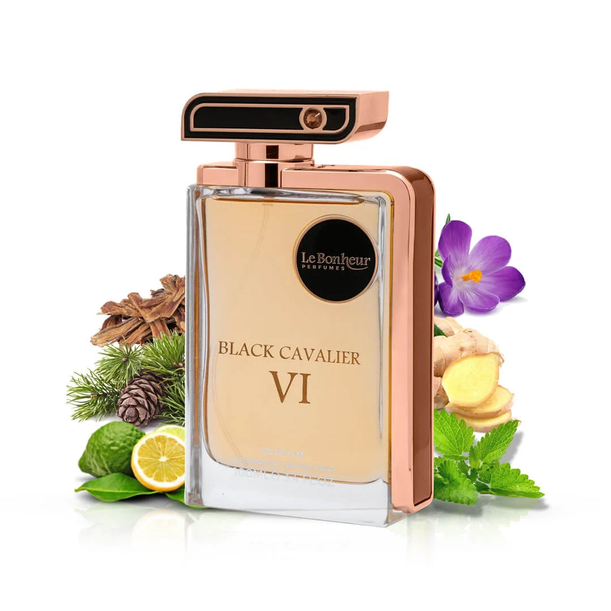 Le Bonheur Black Cavalier VI Eau De Parfum 100ml Spray - Tophatter Daily Deals