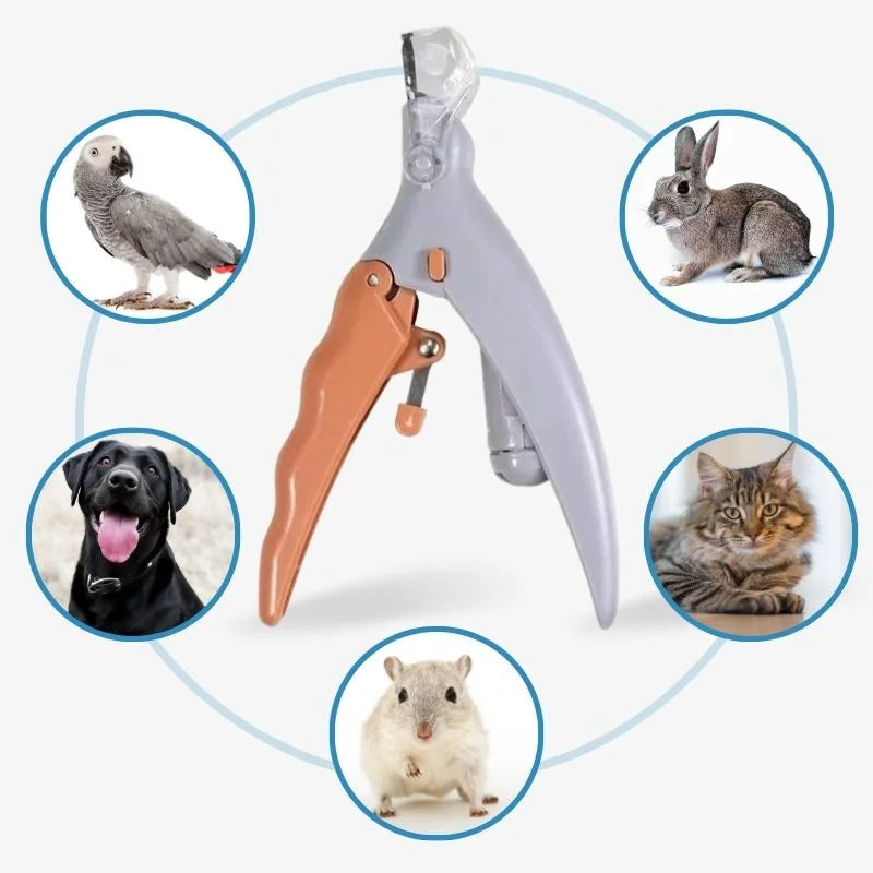 Dog Nail Clippers With Quick Sensors Safe LED Guide - Tophatter Daily Deals