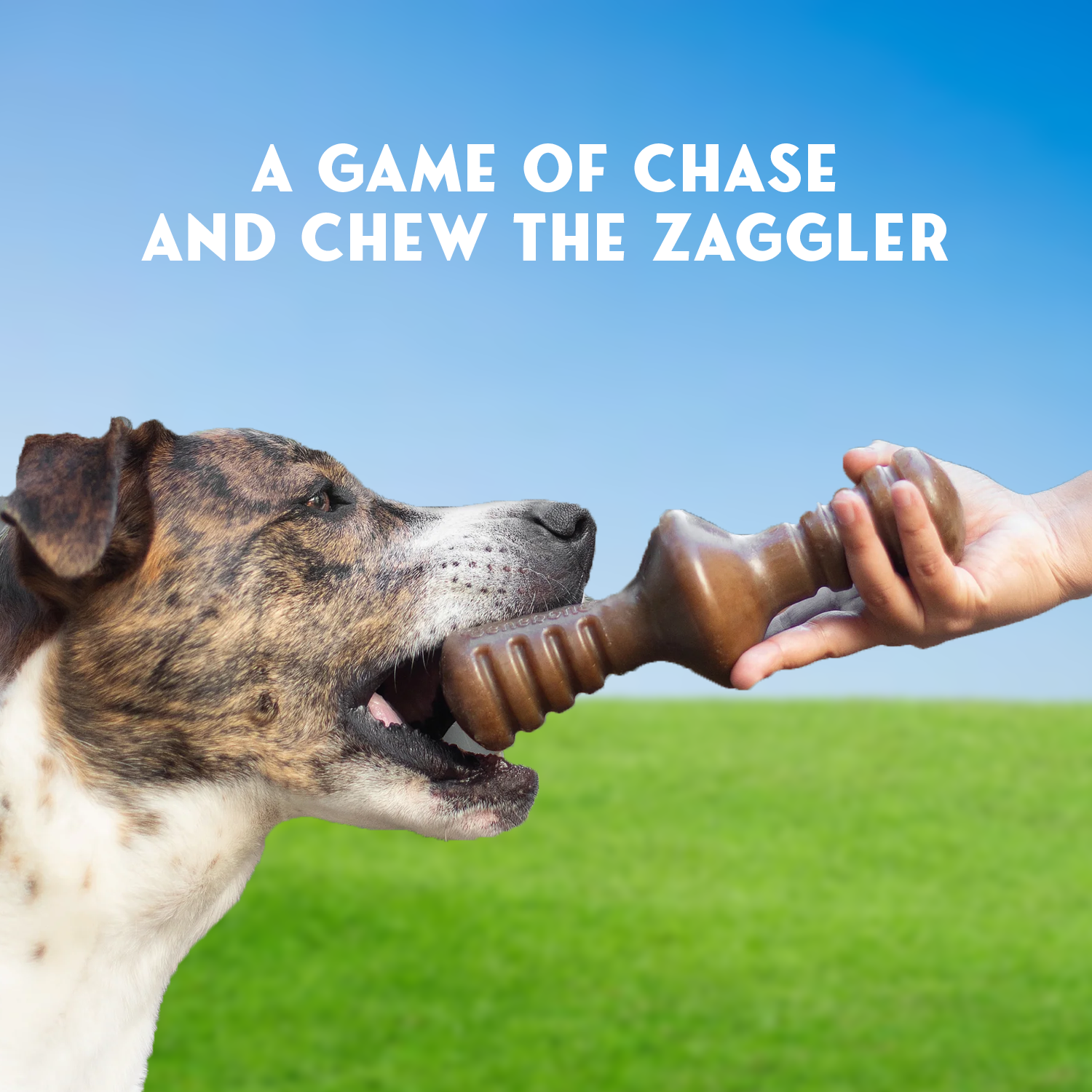 Dog Chew Toy – Tough Rubber Bone for Aggressive Chewers, Dental Care & Play pet - Tophatter Daily Deals