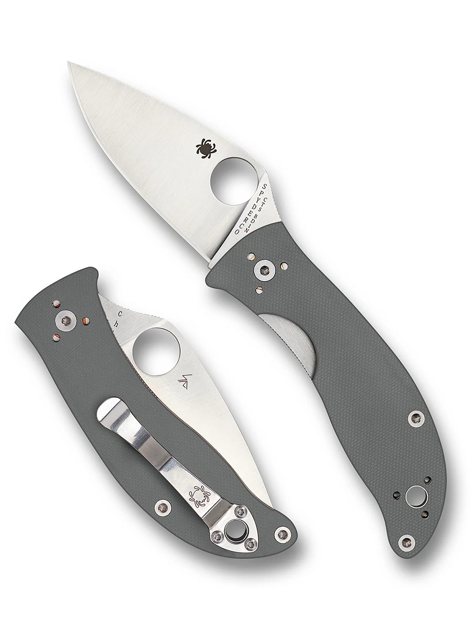 Spyderco Alcyone - Gray G10 Handles - CTS BD1N Satin Plain Blade - C222GPGY Folding Knives - Tophatter Daily Deals