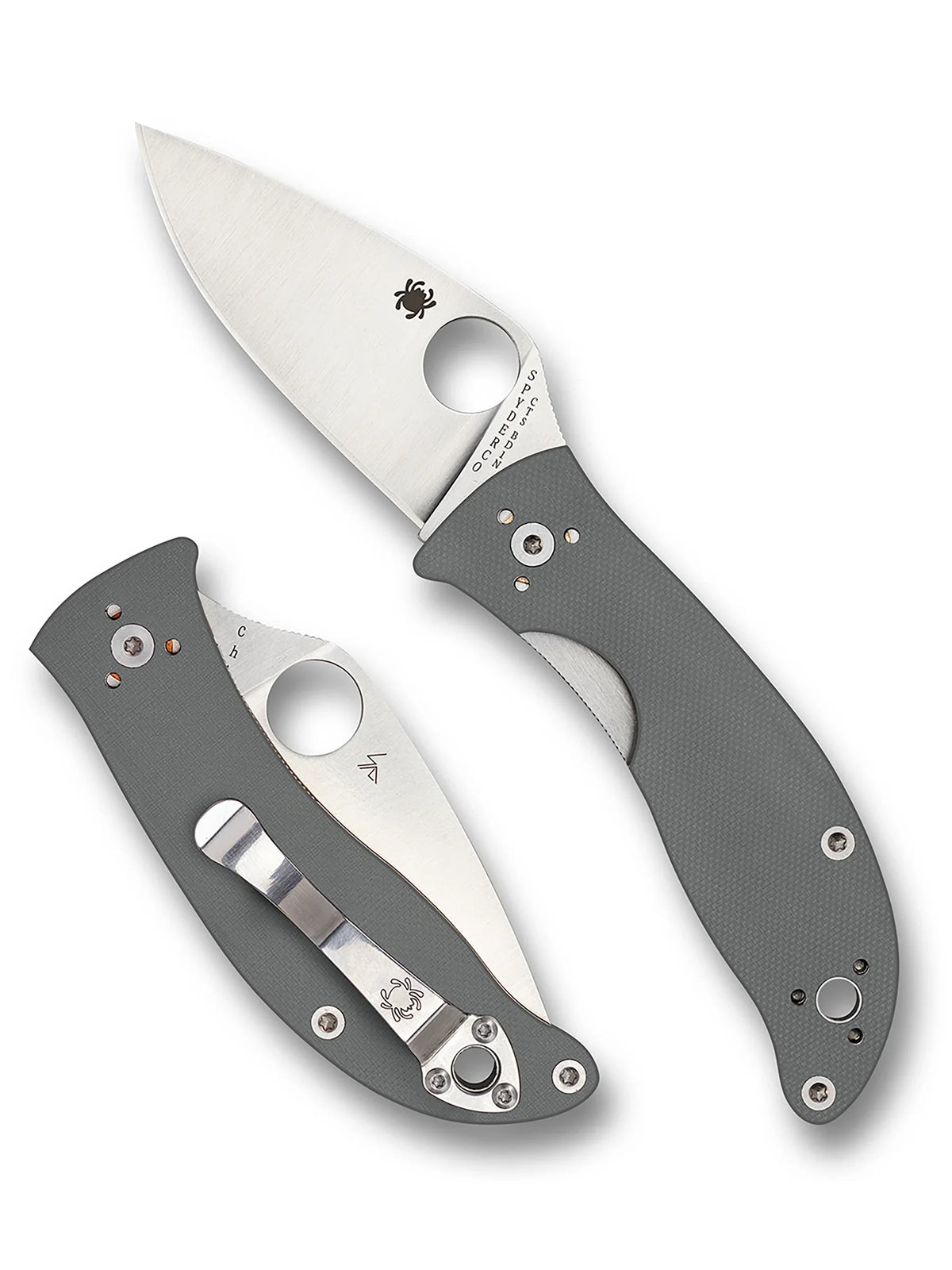 Spyderco Alcyone - Gray G10 Handles - CTS BD1N Satin Plain Blade - C222GPGY Folding Knives - Tophatter Daily Deals