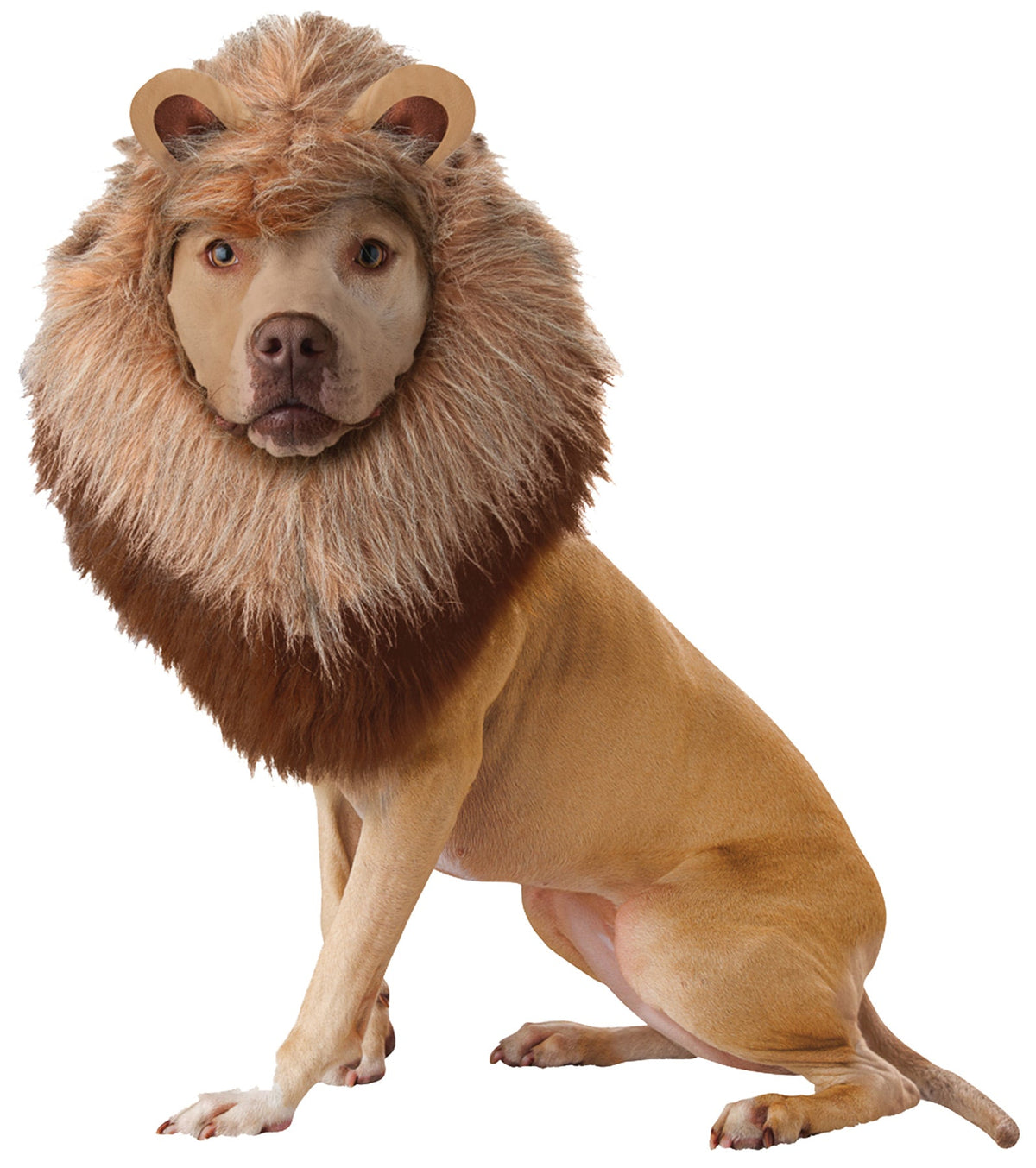 Lion Dog Costume Pet Halloween Costumes - Tophatter Daily Deals
