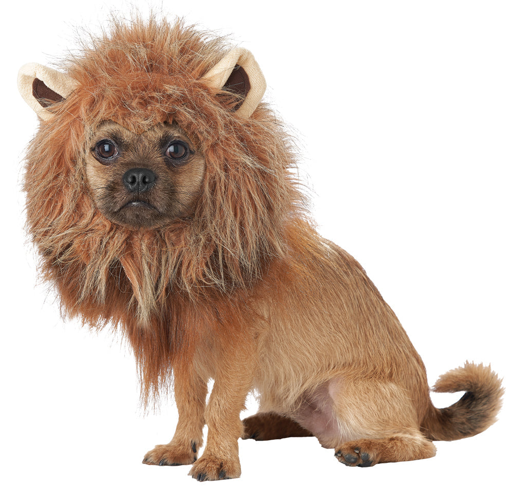 King Of Jungle Dog Costume Pet Halloween Costumes - Tophatter Daily Deals