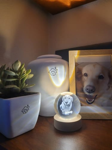 Memory Orb - Tophatter Daily Deals