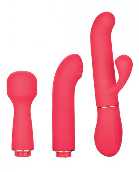 In Touch Passion Trio Pink Vibrator Kit - Wholesale Prices (Limited Deals)