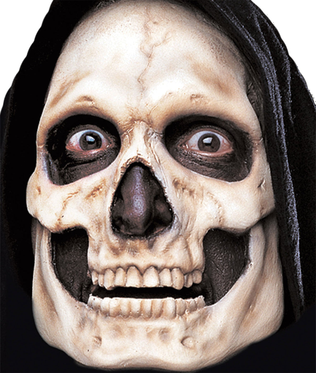 Skull Prepainted Foam Prosthetic Halloween Skeleton Decorations - Tophatter Daily Deals