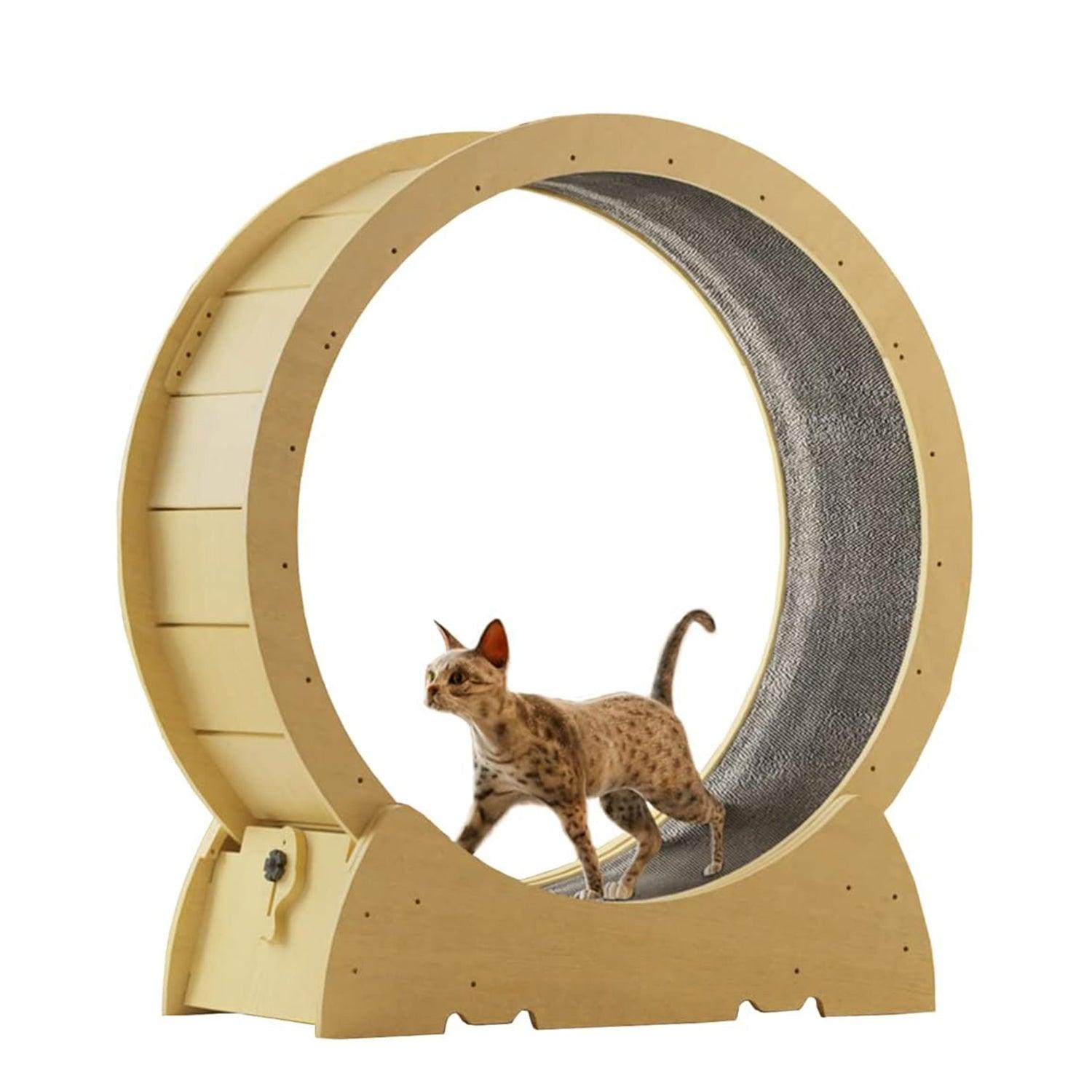 Cat Running Wheel - Large Cat Exercise Wheel Cat Treadmill Silent Movement Cat Toy Pet Products - Tophatter Daily Deals