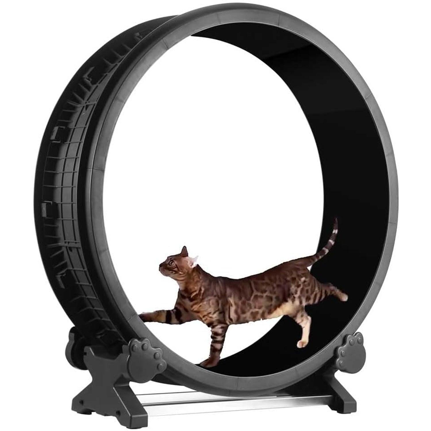 Cat Wheel Exercise - 7th Gen Cat Treadmill Cat Running Wheel Silent Movement Cat Toy Pet Products - Tophatter Daily Deals