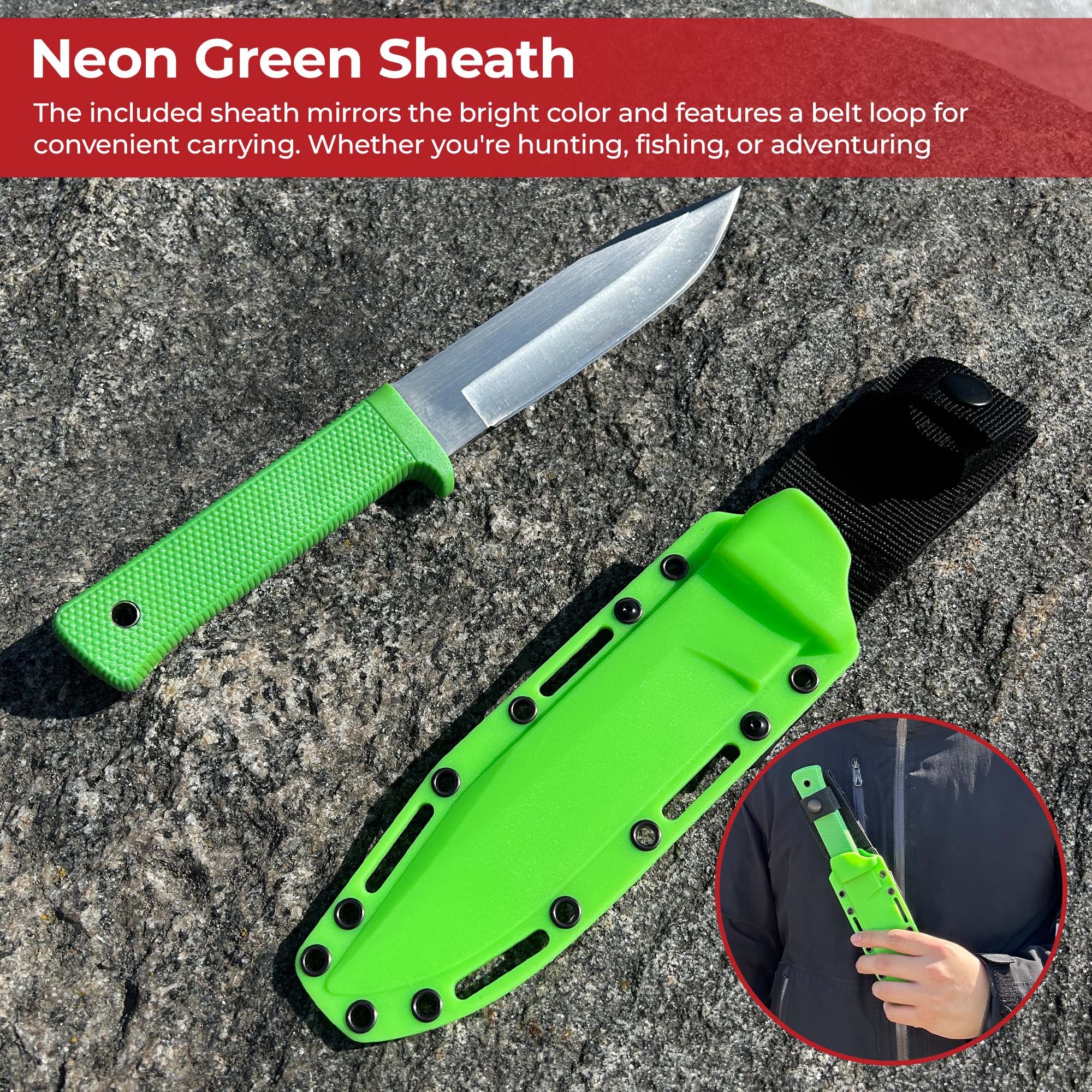 Coastal Expedition Survival Knife Knives - Tophatter Daily Deals