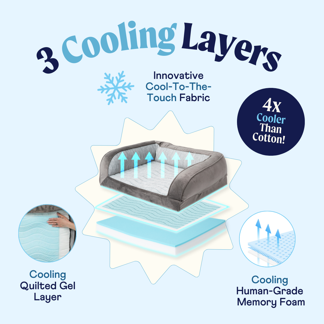 PupChill™ Cooling Bolster Dog Bed Pet Beds - Tophatter Daily Deals